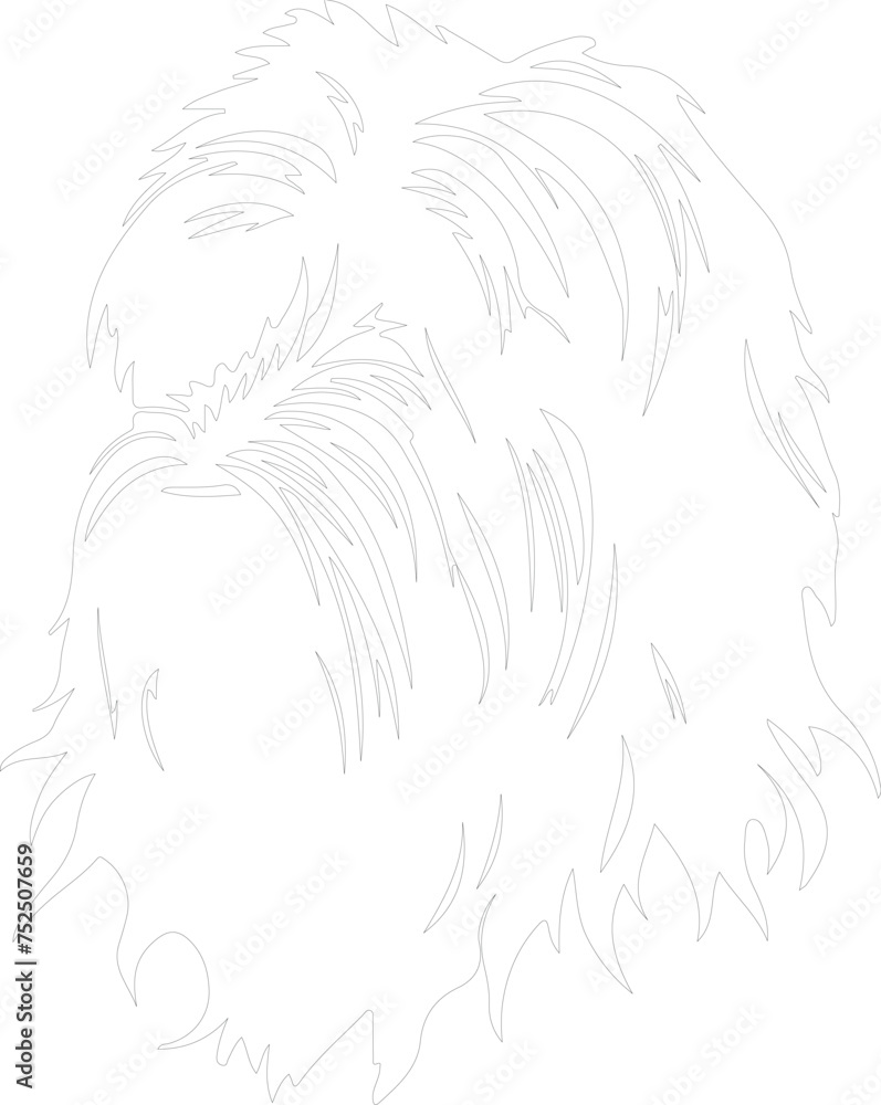 Briard outline Briard outline