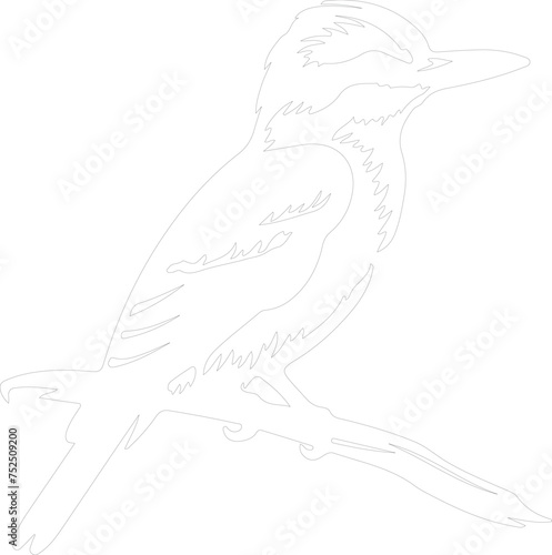 kookaburra outline