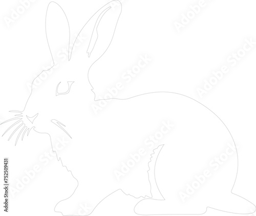 lagomorph outline