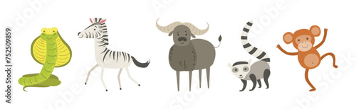Wild African Animal and Zoo Beast Vector Set