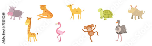 Wild African Animal and Zoo Beast Vector Set