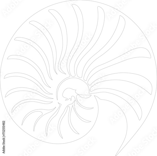 nautilus outline