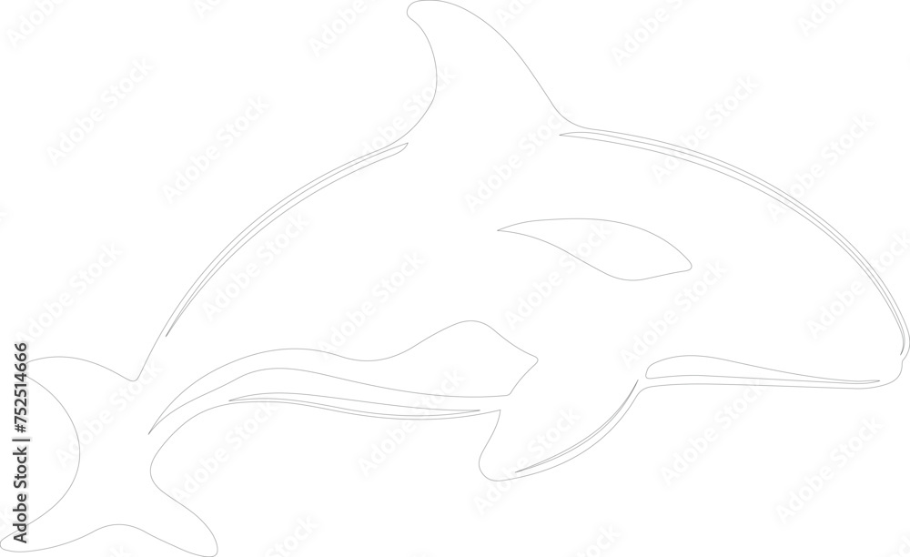 orca outline orca outline