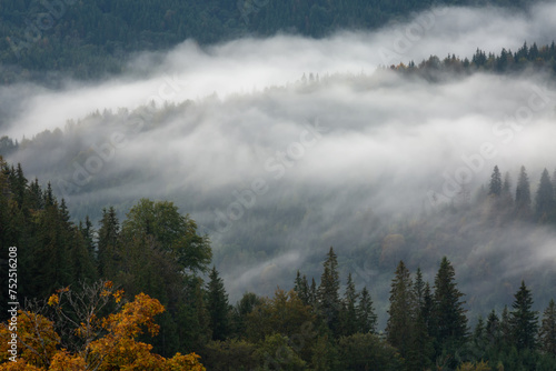 Carpathian mountains in the fog. Ukraine. Autumn