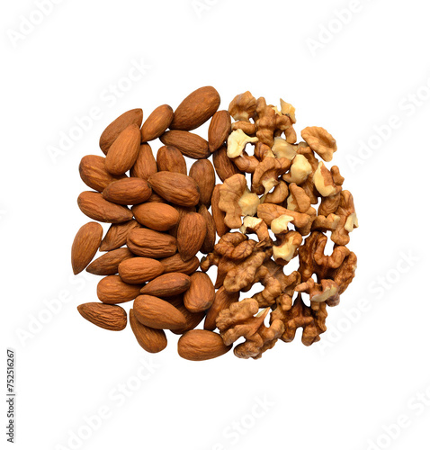 Many shelled walnuts, big whole almonds isolated on transparent background. Fruits bunch laid out in circle. Tasty healthy snack set png. Raw food for packaging design, advertising layout. Top view