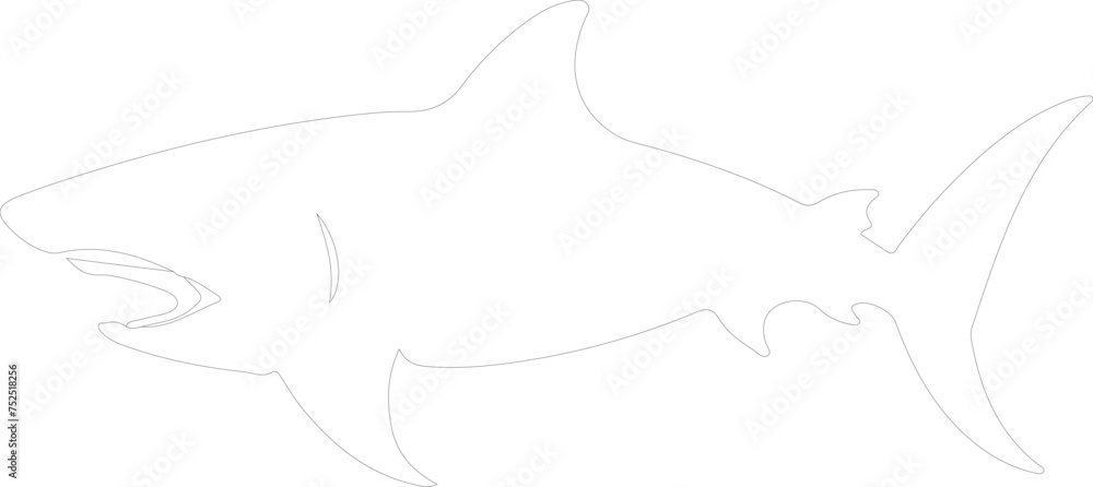 shark outline shark outline