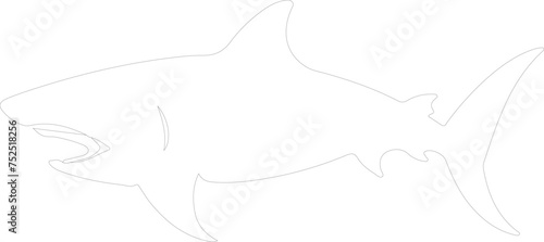 shark outline
