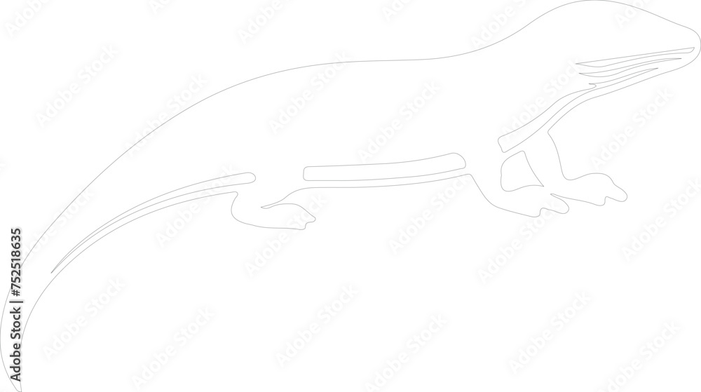 Fototapeta premium skink outline