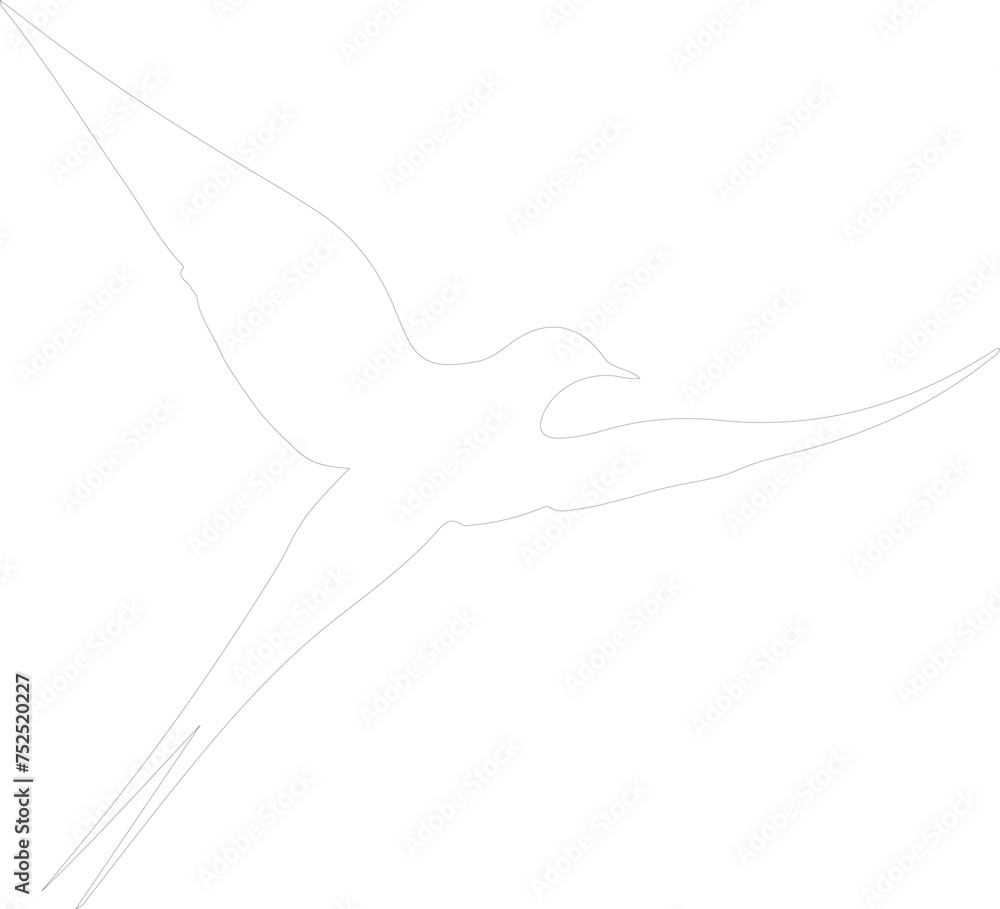 Obraz premium tern outline