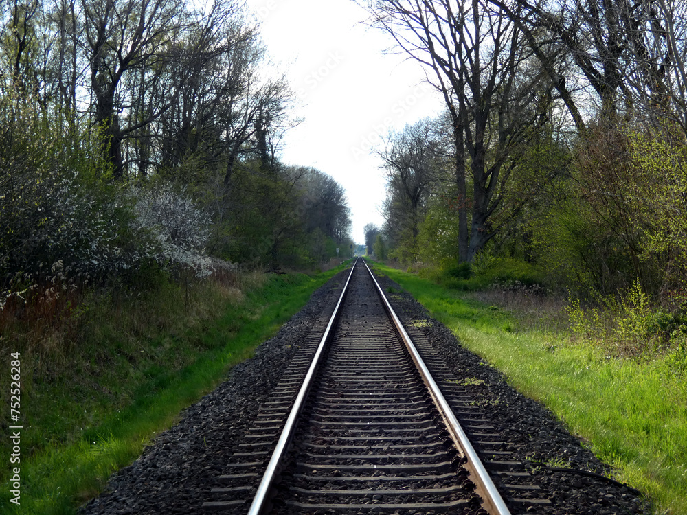 Fototapeta premium Road to nowhere