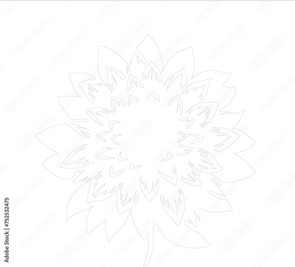 dahlia outline dahlia outline
