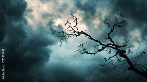 A captivating uprisen angle view capturing the silhouette of a leafless tree twig against a dark and cloudy sky © artfisss