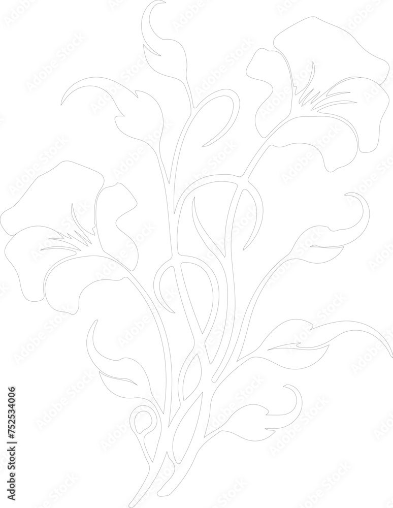 morning glory outline morning glory outline