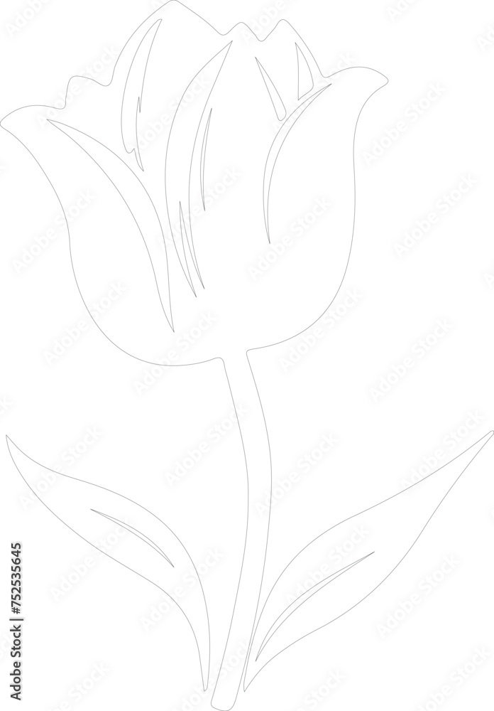 Obraz premium tulip outline