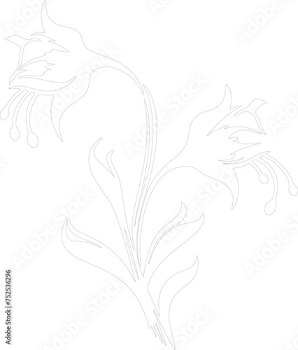 bellflower outline