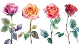 four rose decorations in arched arrangement in classic coloured