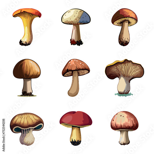 Mushrooms vector illustration. Mushrooms set collection
