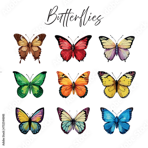 Butterflies vector illustration. Collection of butterflies illustration in watercolor style
 photo