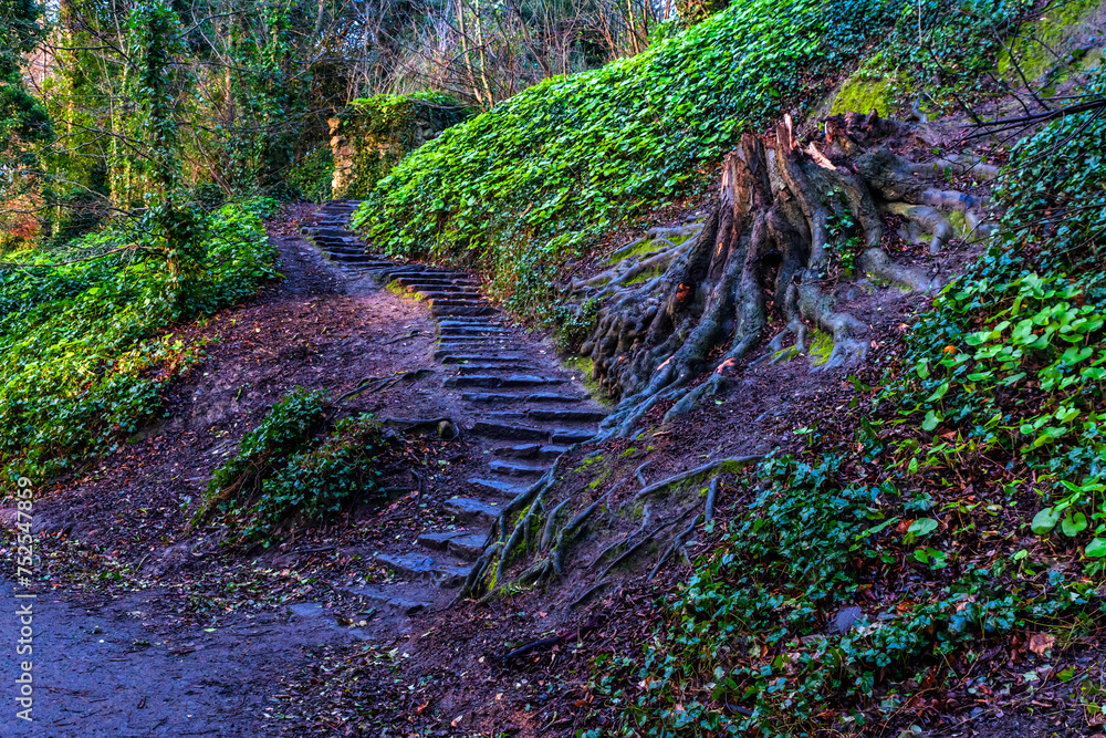 Beautiful stairs in St. Annes Park Dublin Ireland