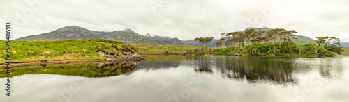Obraz na płótnie Morning scene with a cloudy day in Galway Ireland, Pine Island w salonie