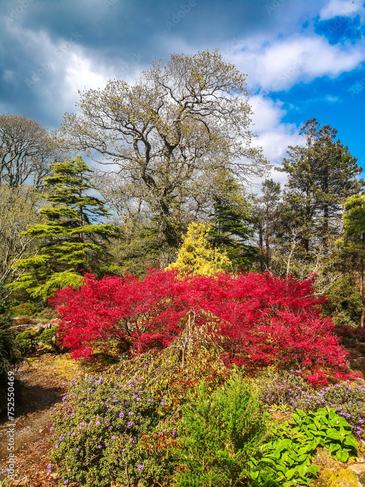 Botanical garden in conty Waterford Ireland