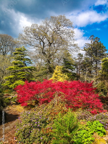 Obraz na płótnie Botanical garden in conty Waterford Ireland w salonie