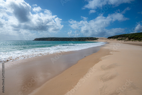 Fototapeta Naklejka Na Ścianę i Meble -  Sunny Day at a Peaceful Beach with Clear Blue Skies and Gentle Waves