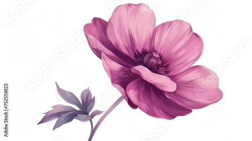 A single flower illustration set against a white background