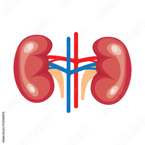 kidney icon vector illustration design template