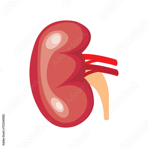 kidney icon vector illustration design template