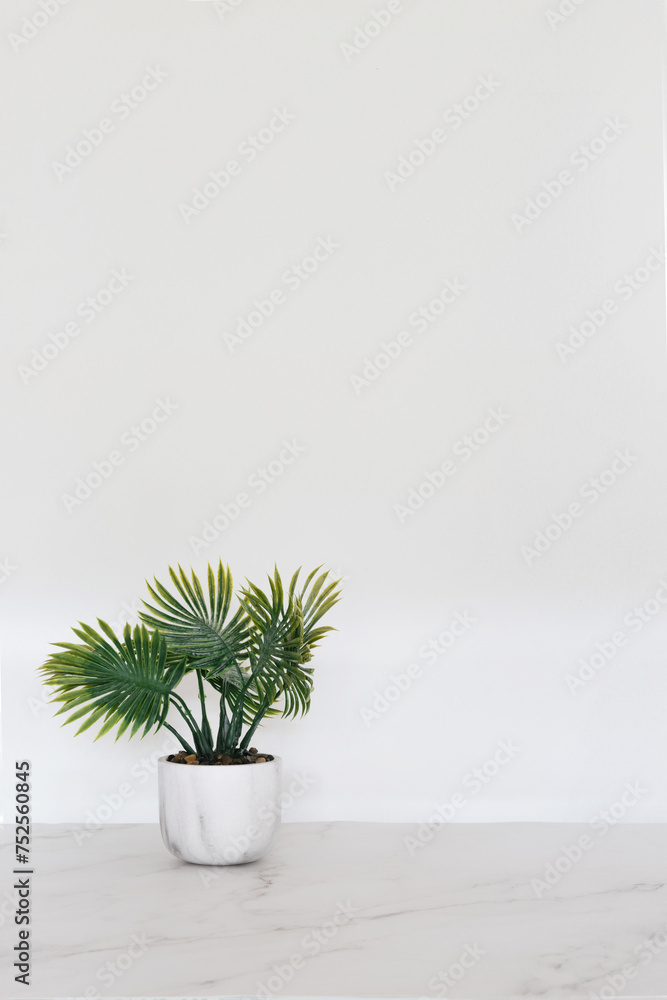 Maqueta de fondo blanco minimalista para presentación de productos en piso de mármol blanco con una palmera pequeña formato vertical