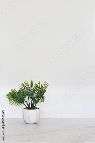 Maqueta de fondo blanco minimalista para presentación de productos en piso de mármol blanco con una palmera pequeña formato vertical