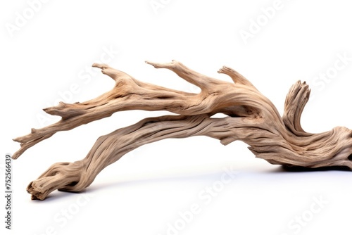 Piece of driftwood on a white background, perfect for design projects