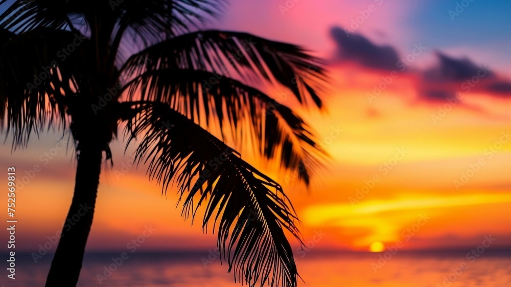 Palm tree silhouette at colorful sunset
