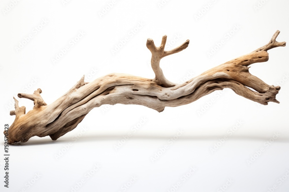 A large piece of driftwood on a white surface, suitable for various design projects