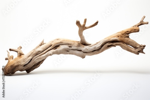 A large piece of driftwood on a white surface  suitable for various design projects