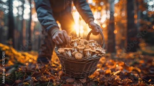 In an autumnal forest, a basket filled with freshly foraged wild mushrooms is held closely, capturing the essence of fall harvest
