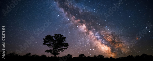 Starry Night Sky With Milky Way Galaxy Over Silhouette of Lone Tree. Banner © zakiroff