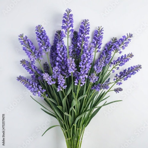 bunch of lavender flower 