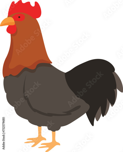 Chicken cock icon cartoon vector. Bird feeder. Domestic factory