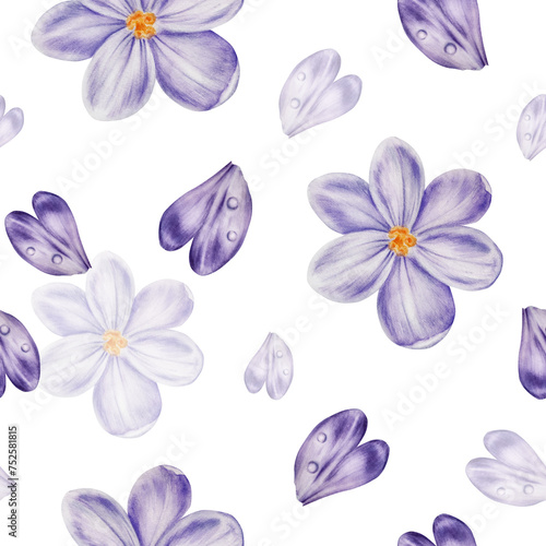 Watercolor seamless pattern with purple blooming crocus flower isolated on background. Spring and easter botanical hand painted saffron illustration. For designers, wedding, decoration, postcards, 