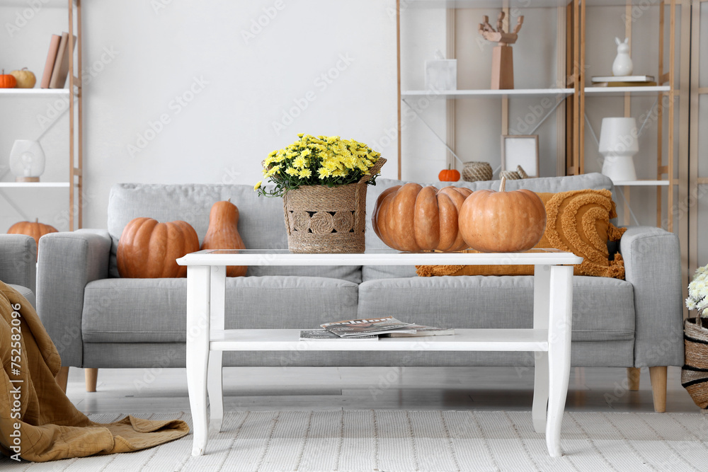 Obraz premium Chrysanthemum flowers with pumpkins on table in living room