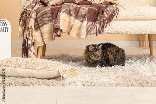 Fototapeta Naklejka Na Ścianę i Meble -  Cute cat lying on carpet in living room