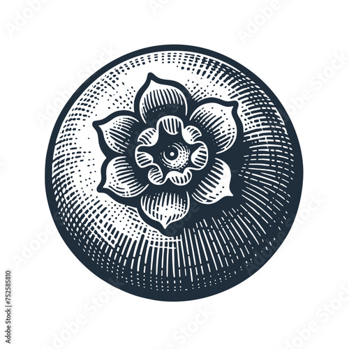 Blueberry. Vintage woodcut engraving style vector illustration.