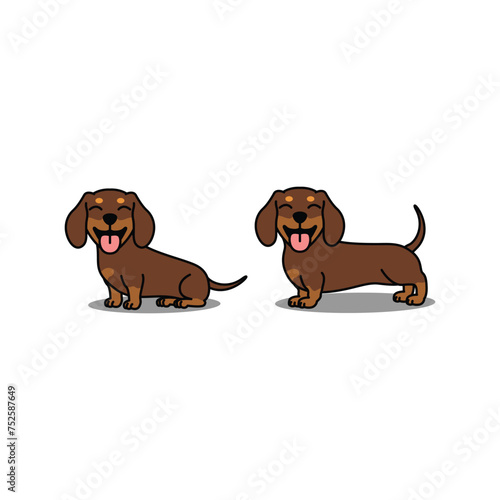 Cute dachshund dog chocolate and tan smiling cartoon, vector illustration