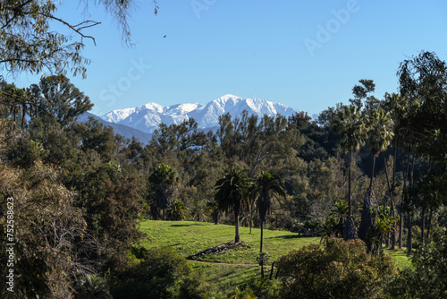 View of Elysian Park in Los...