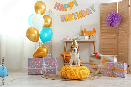 Adorable Beagle dog with pa...