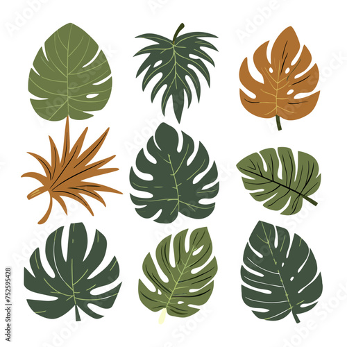 beautiful graphic large green leaves on an isolated background