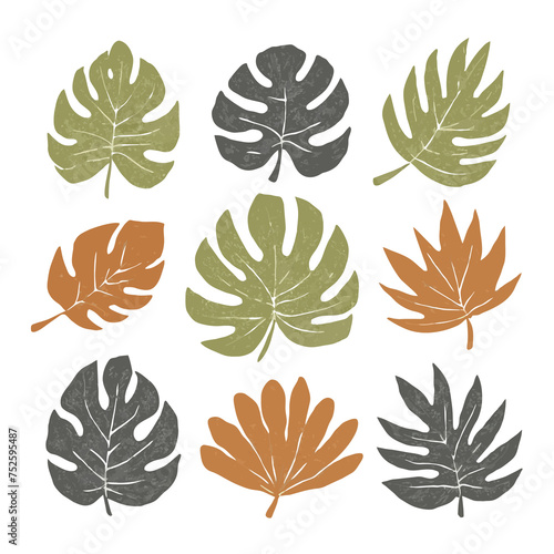beautiful graphic large green leaves on an isolated background