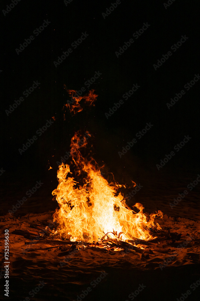 fire in campfire